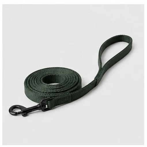 2 m Training Lead — Medium